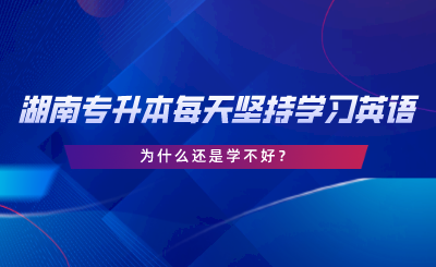 湖南專升本每天堅持學習英語，為什么還是學不好.png