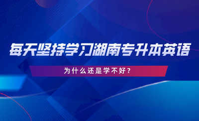 每天堅持學習湖南專升本英語，為什么還是學不好.png
