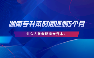 湖南專升本時(shí)間還剩5個(gè)月，怎么去備考湖南專升本.png
