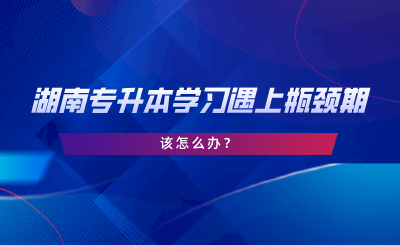 湖南專(zhuān)升本學(xué)習(xí)遇上瓶頸期，該怎么辦.png