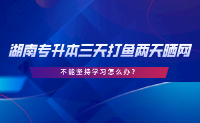2024年湖南專升本三天打魚兩天曬網，不能堅持學習怎么辦.png