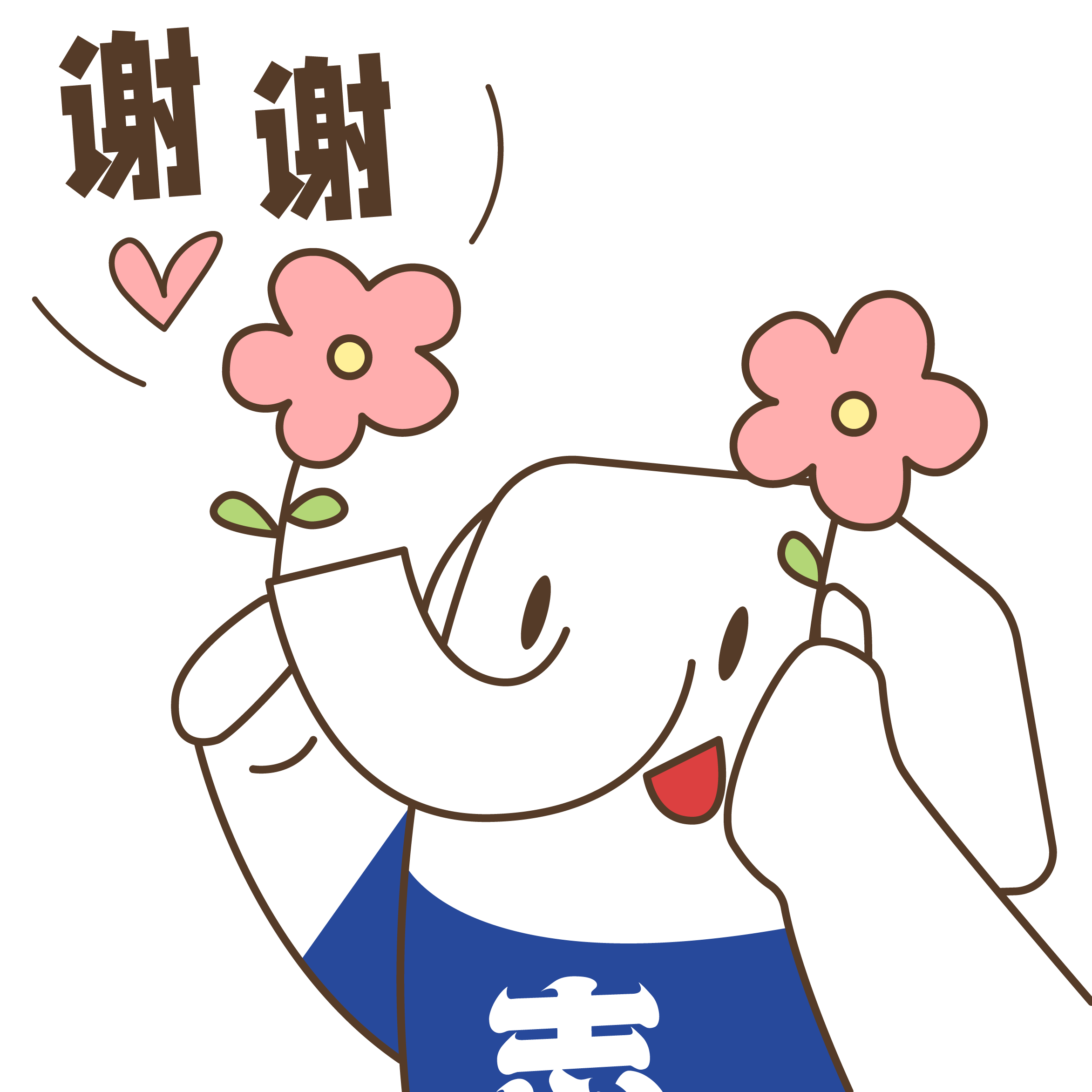 2023年張家口學院專升本招生章程(圖1)