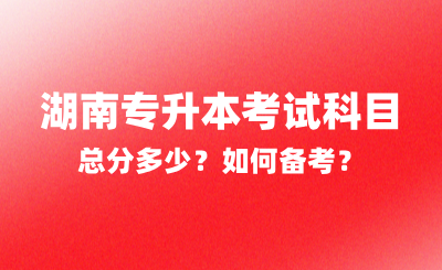 2025年湖南專升本考試科目總分多少？如何備考？