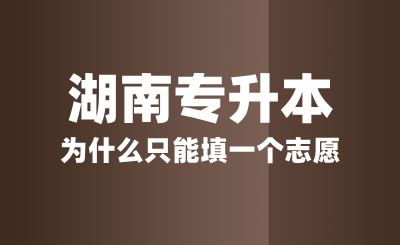 湖南專升本為什么只能填一個志愿？