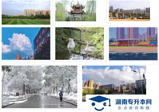 湖南機(jī)電職業(yè)技術(shù)學(xué)院2022年單招簡章