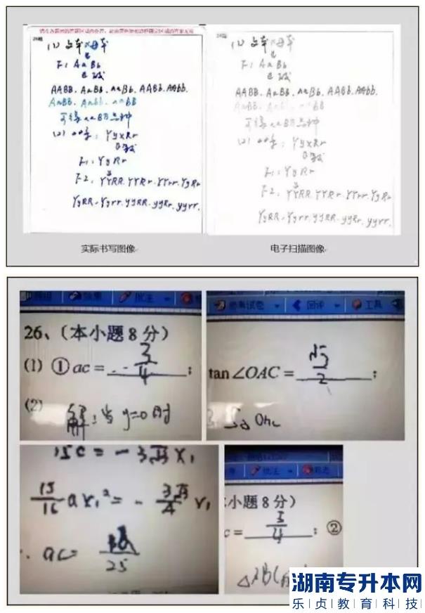 江蘇2023年專(zhuān)轉(zhuǎn)本考試答題卡樣式及填涂注意事項(xiàng)(圖5)