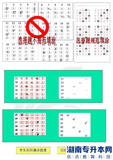 江蘇2023年專(zhuān)轉(zhuǎn)本考試答題卡樣式及填涂注意事項(xiàng)(圖4)