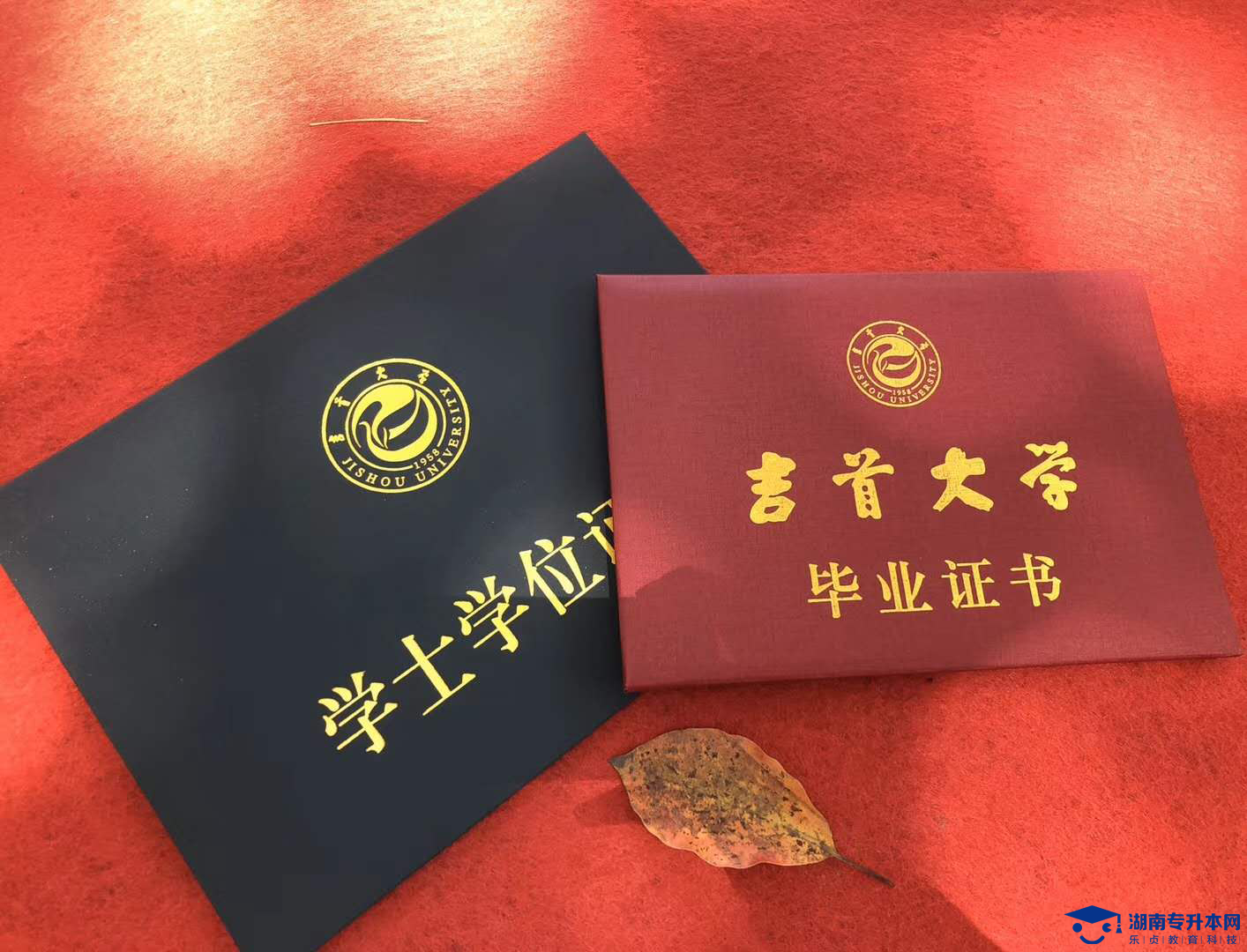 湖南專升本成績復(fù)核分數(shù)會變低嗎