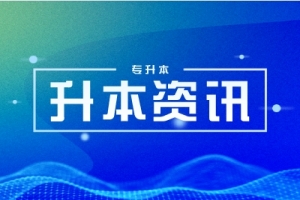 2023年武昌首義學(xué)院專升本招生專業(yè)簡介