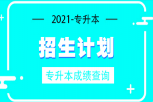 2021年遼寧數(shù)字媒體藝術專升本計劃招生人數(shù)